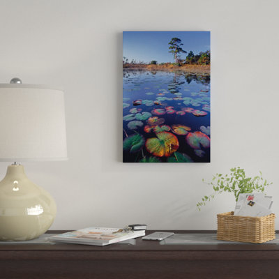 «Waterlilies Floating in Pond, Jonathan Dickinson State Park, près de Hobe Sound, Floride», reproduction de photo sur toile