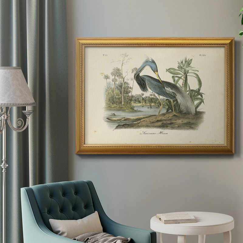 Audubons Louisiana Heron - Single Picture Frame Painting on Canvas, 16" H x 20" W