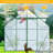 8X6FT-Green Double Door Polycarbonate Greenhouse Raised Base And Anchor Aluminum Heavy Duty Walk-In Greenhouses For Outdoor Backyard In All Season-121362691-121362693