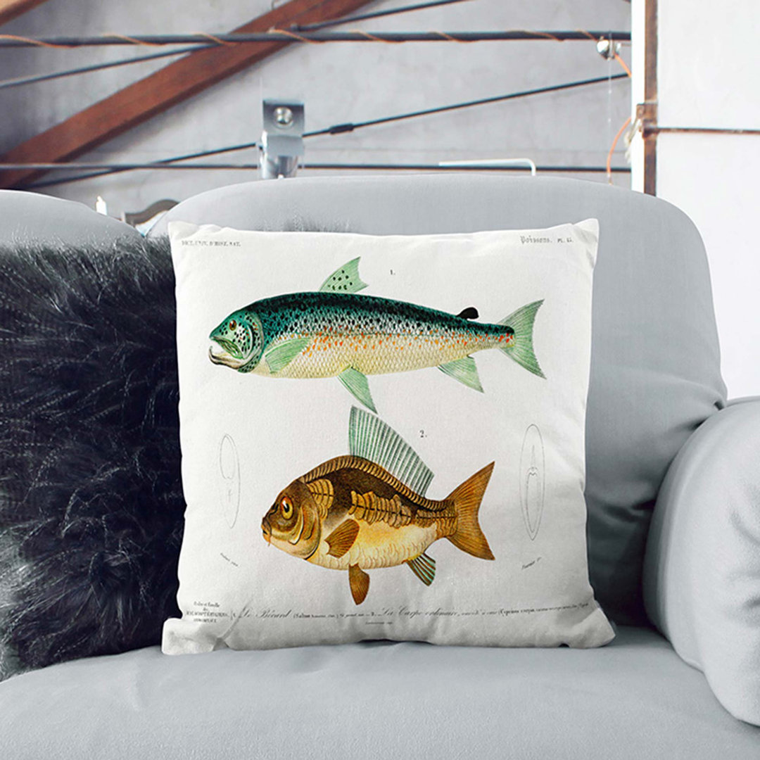 Fish Illustrations PL. 15 by Charles D' Orbigny Cushion with Filling
