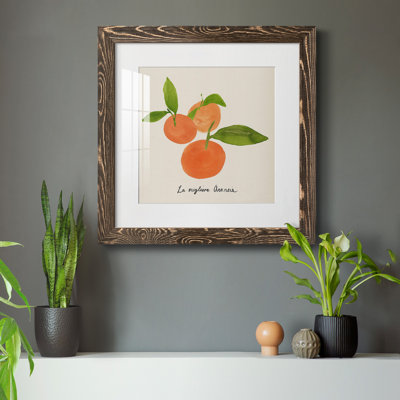 " Citrus Trattare II "