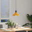 Adalinne 1 - Light Gloss Orange Pendant-132269274