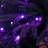 Pre-Lit Artificial Edmonton Fir Light Show Memory Shape Christmas Tree-1328409908