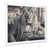 White Single Picture Framed