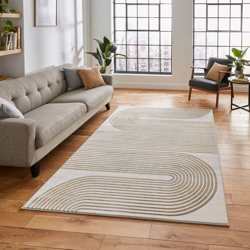 Apollo area rug Machine Woven Rectangle Grey, Rectangle 160 x 220cm