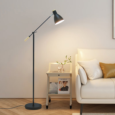 Yuraima 55'' Task Floor Lamp