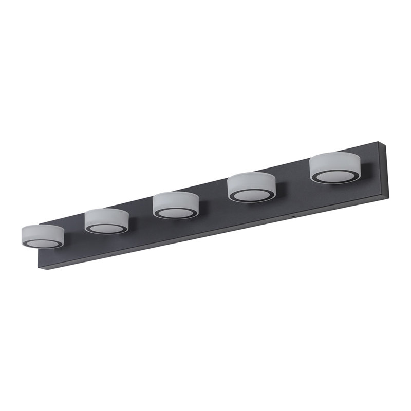 Vanity Light Fixture LED