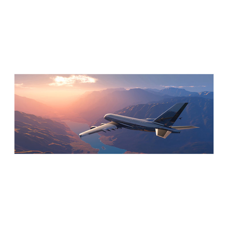 Plane - Wrapped Canvas Print