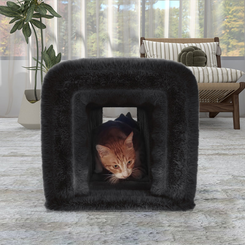 Fournitures pour animaux en velours côtelé, Noir