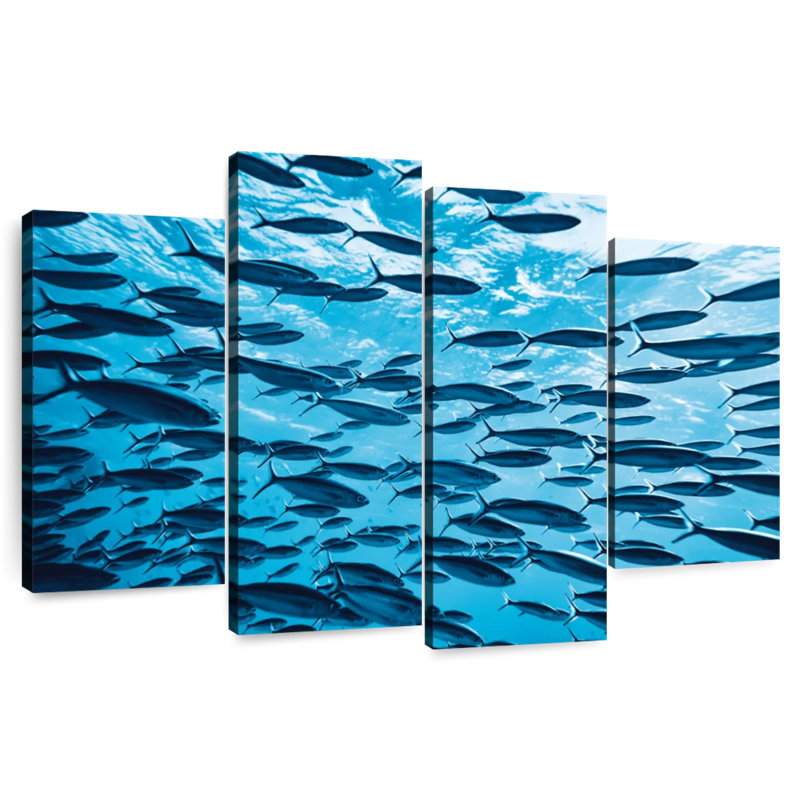 Brampt School Of Tropical Fish