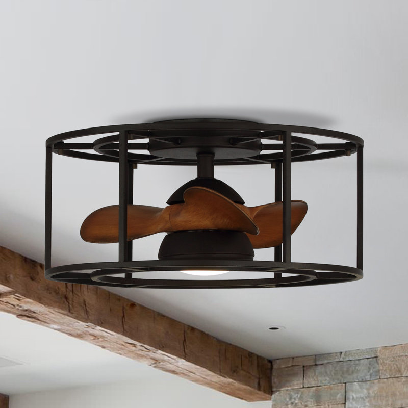Aalaysha 20'' Ceiling Fan with LED Lights