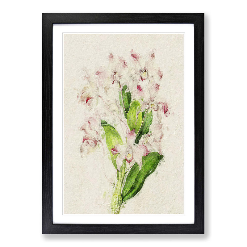 Illustration of Pink Dendrobium Orchids - Picture Frame Painting Print, 36cm H x 27cm W x 2cm D, Black Framed