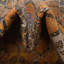 Oppie Moroccan Indoor Rug-1159480268