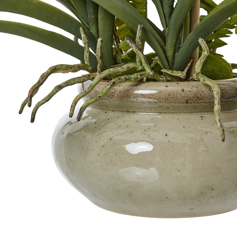Arrangement in Pot
