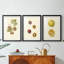 Persimmon II - Impression encadrée sur mesure de qualité supérieure mate - 3 pièces-1919404747-1919404749