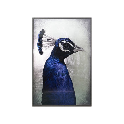 The Peacock Print