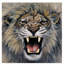Yand «Lion Roaring», reproduction de peinture acrylique sur toile tendue-30364153
