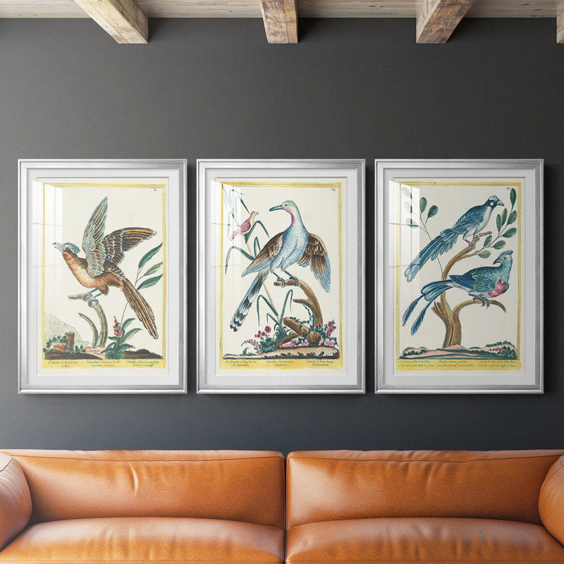 «Pastel Birds IV», reproduction encadrée de qualité supérieure - prête à être accrochée, Cadre argenté