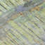 Tapis abstrait lavable à la machine intérieur / extérieur ACN2428-152885106-152885114