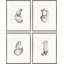 Study I-IV Set Set by Susan Hable