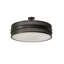 Nolan 6 - Light Semi Flush Mount