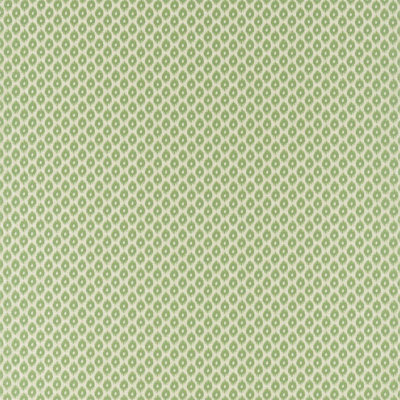 Meru Fabric