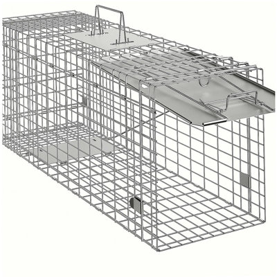 Live Animal Cage Trap, 31" x 10" x 12" Humane Cat Trap Galvanized Iron, Folding Animal Trap with Handle for Rabbits, Stray Cats, Squirrels, Raccoons, Groundhogs and Opossums
