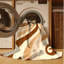 Tapis beige audacieux et éclectique moderne lavable à la machine Carlstadt - reliure beige-1541183073