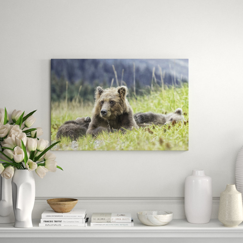 Nap Time Print by Wink Gaines, 24" H x 36" W
