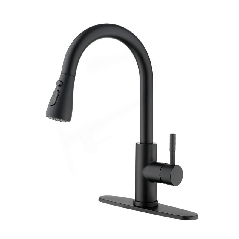 Kitchen Faucet With Pull Out Spraye