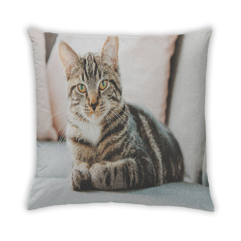 Coussin 28 chats, Microsuède