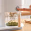 Food Storage Container