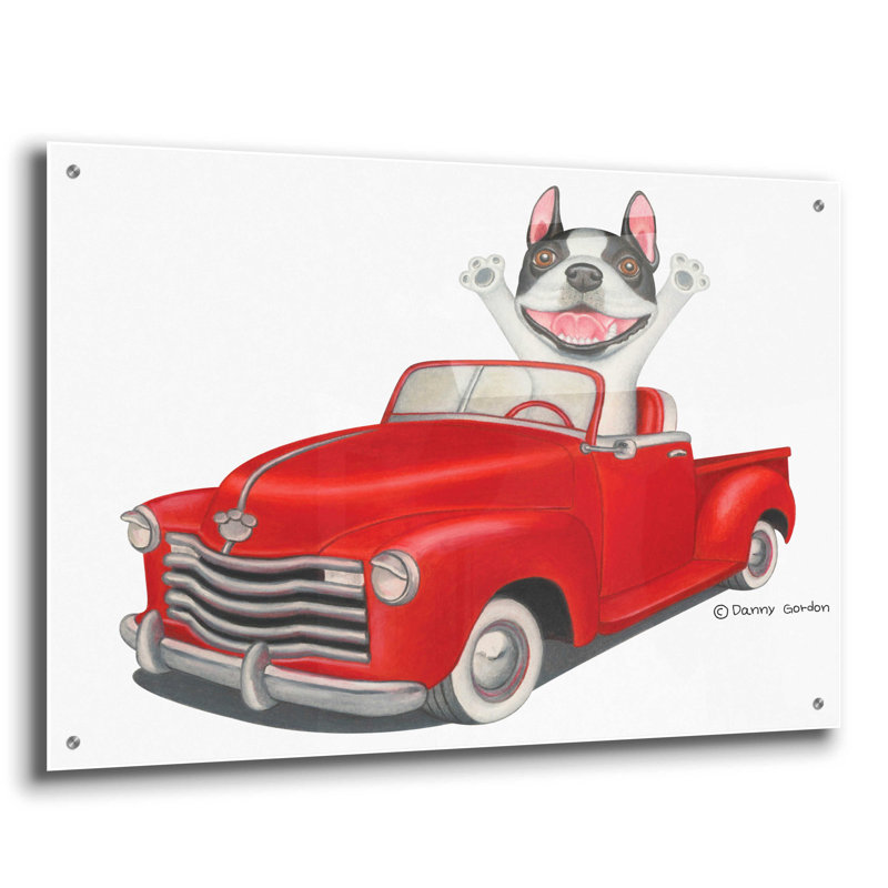 «Happy Boston Terrier» dans un camion rouge sur une impression en plastique / acrylique, H 24 po x l 36 po x P 0,2 po