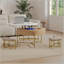Table basse à plateau relevable en MDF avec rangement et 3 repose-pieds - Conception moderne peu encombrante pour le salon-1711124617