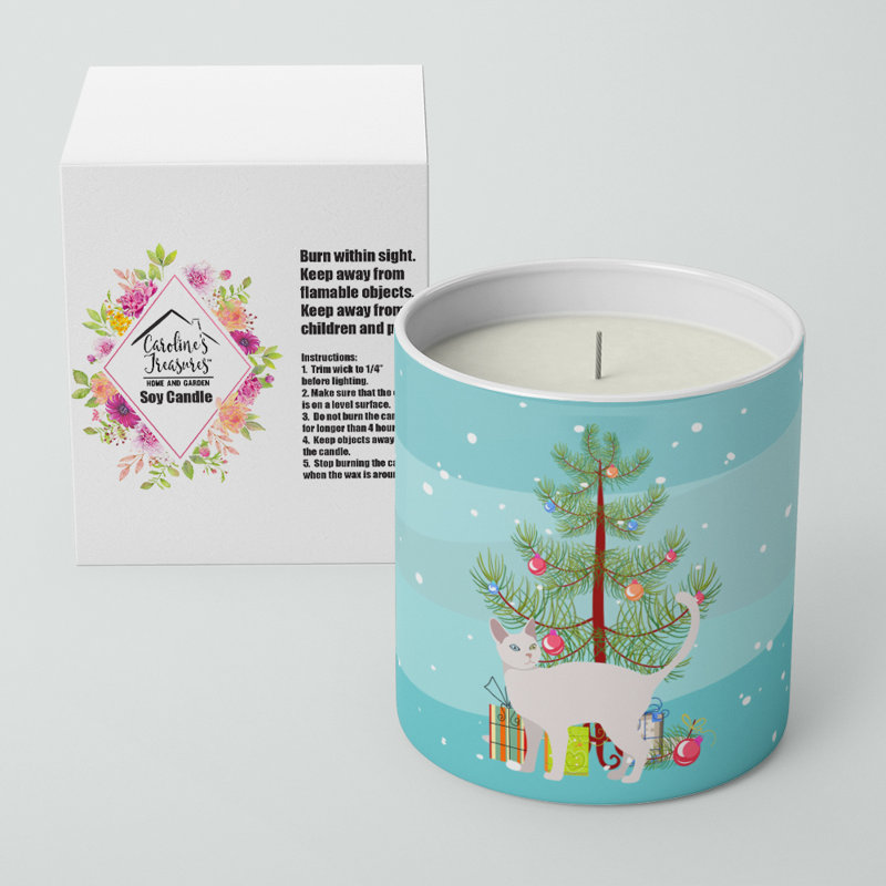 Pine / Christmas Tree Scented Jar Candle with Ceramic Holder