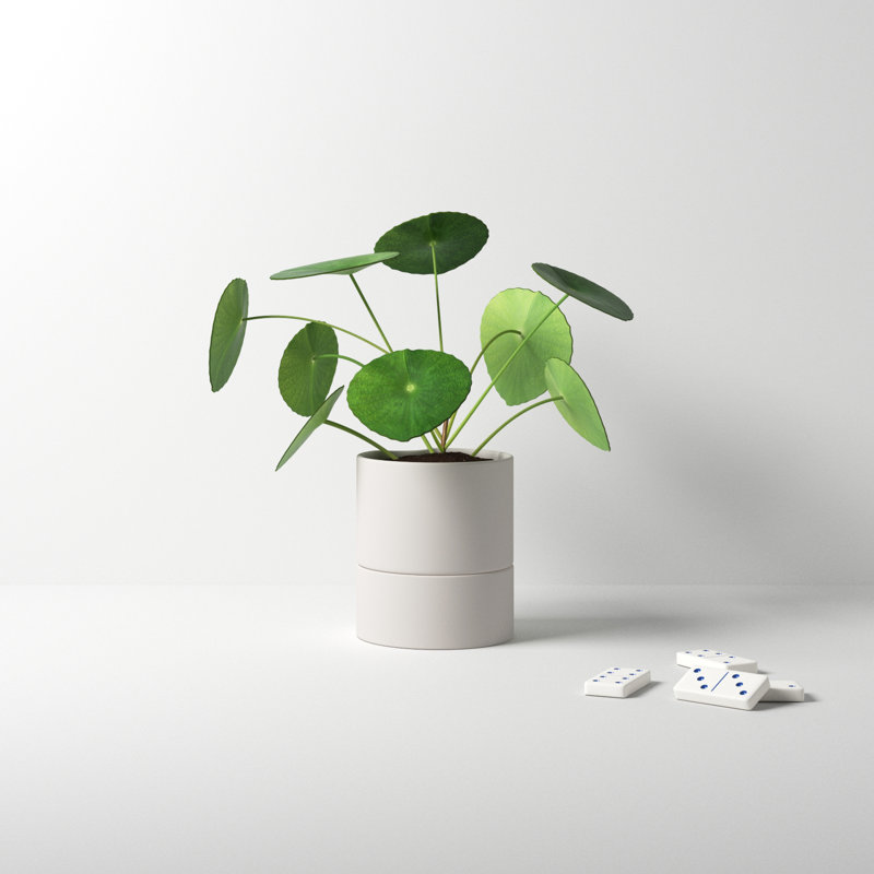 White Ceramic Self-Watering Round Indoor Planter with Saucer