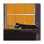 « cat on a window appui ii », reproduction d’impression sur toile tendue-47258523