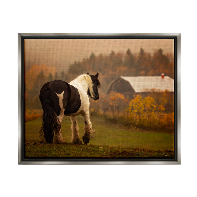 Cheval surplombant une grange, reproduction encadrée sur toile par PHBurchett, Cadre flottant gris lustré