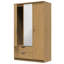 Bhodhini Manufactured Wood Wardrobe