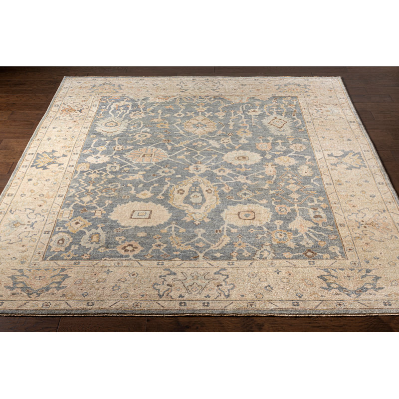 Daucourt Wool Oriental Area Rug, Rectangle 2' x 3'