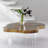 Floating 4 Legs Coffee Table Assorted