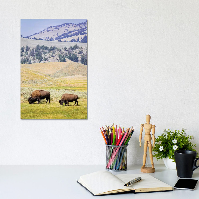 USA, Wyoming, Yellowstone National Park Two Buffalos In Grassy Field by Jaynes Gallery - Wrapped Canvas Painting