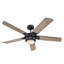 Prochoros Ceiling Fan with LED Lights