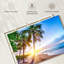 Gillard Caraïbes perle Gillard-107680078