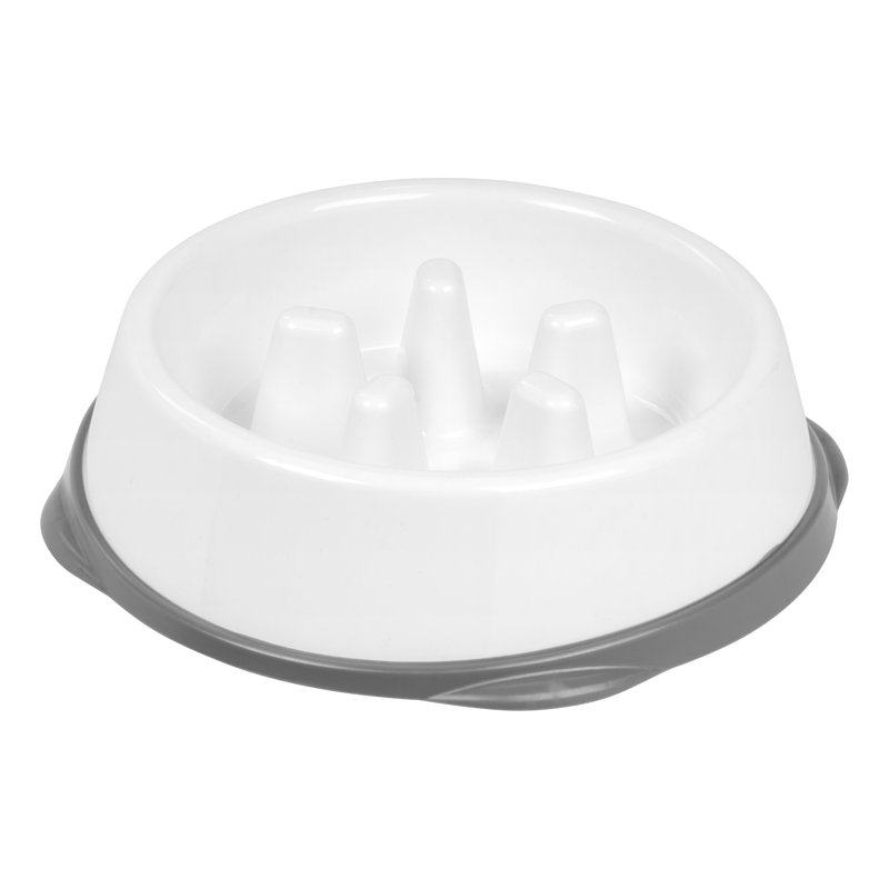 Chargeur lent IRIS, Museau court, Blanc / Gris