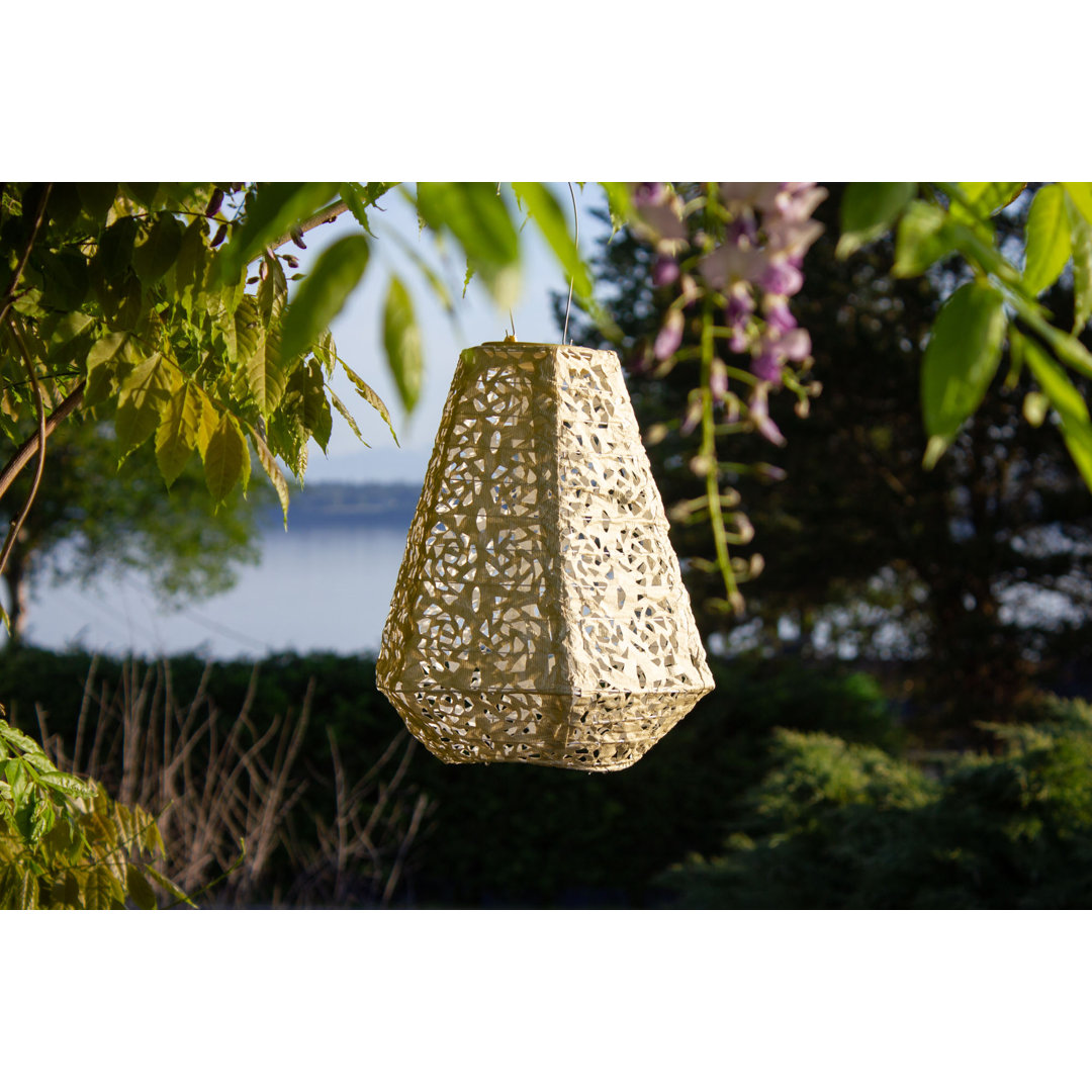 11'' Solar Powered Integrated LED Outdoor Lantern Allsop Home and Garden