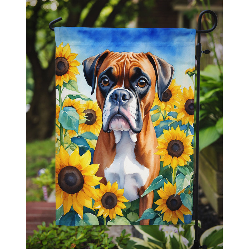 Lévrier irlandais dans le drapeau du jardin de tournesols, Boxer brun