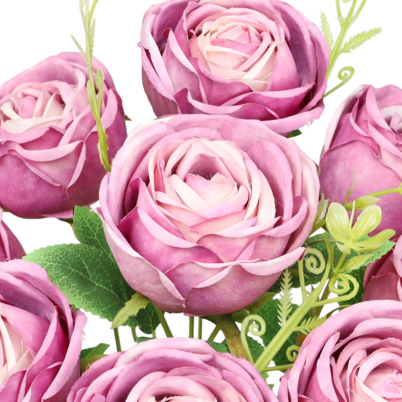 Rosiers Torres, Rose mauve