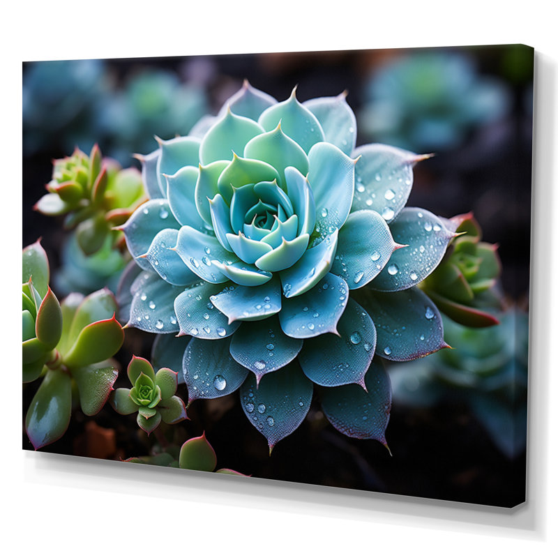 Bleu succulent serein, H 24 po x l 32 po x P 1 po, Toile tendue
