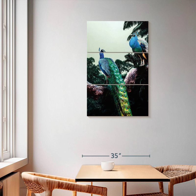 Brampt Peacock Duo, 57" H x 36" W